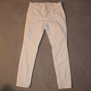 Ann Taylor Loft Modern Skinny Curdoroy Pants